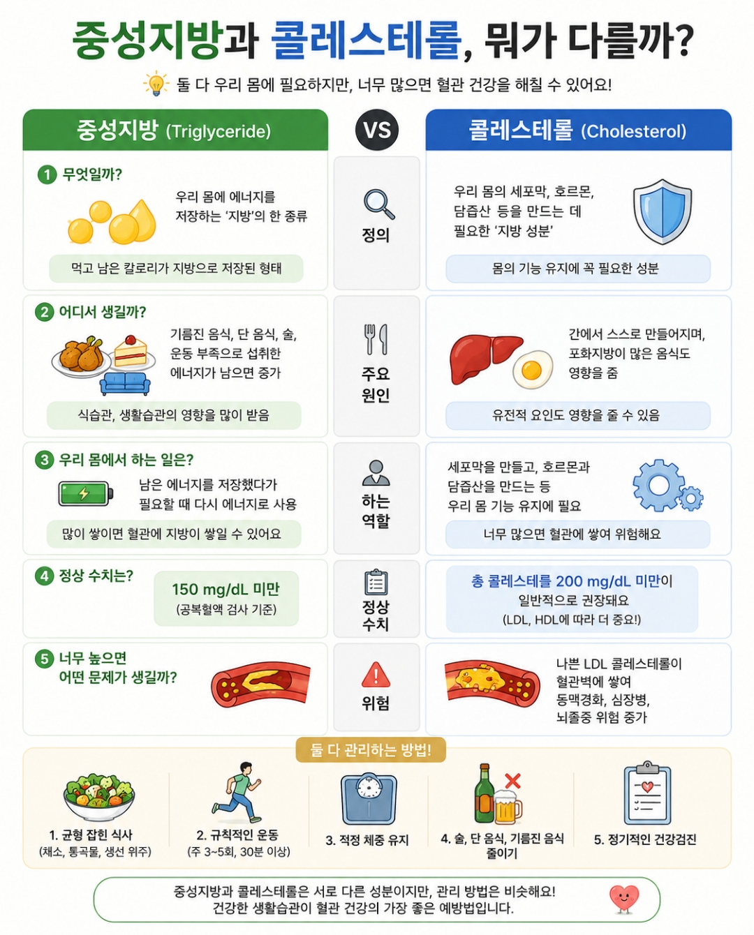 중성지방과 콜레스테롤 비교