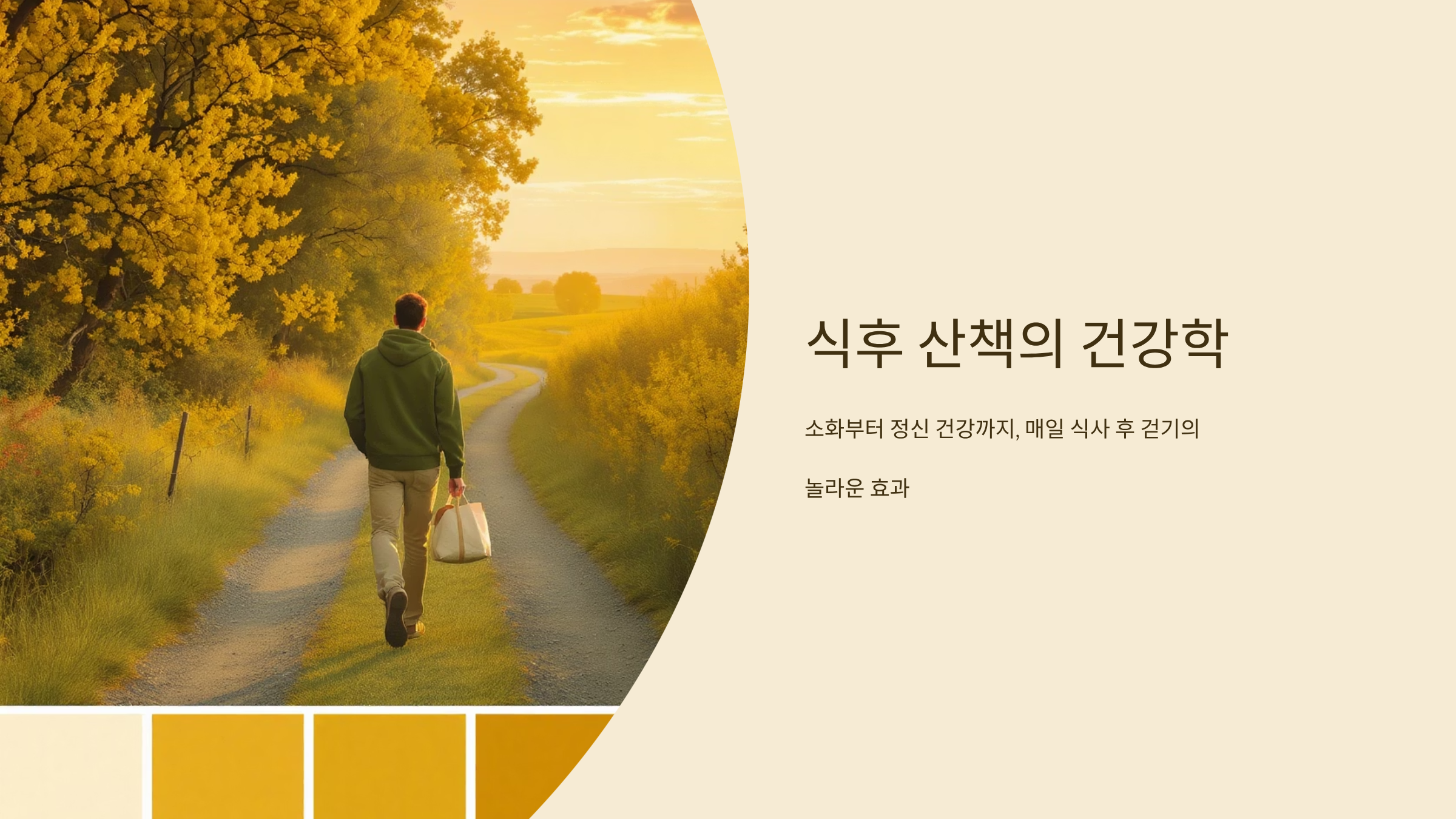 식후 산책으로 소화력 높이는 건강 습관