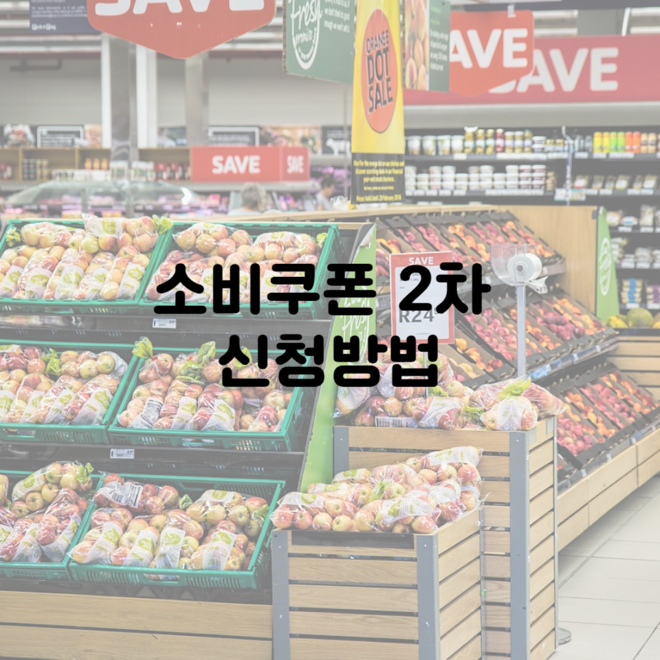 2025년 소비쿠폰 2차 신청방법 ❘ 가장 빠르고 확실하게 신청하는 방법