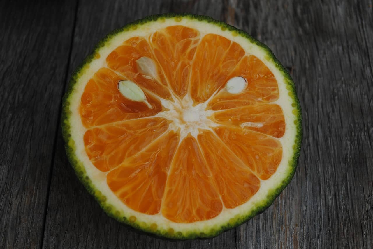 깔라만시효능,깔라만시칼로리,깔라만시섭취방법,깔라만시고르는법,깔라만시요리,깔라만시부작용,깔라만시영양소,깔라만시위장장애,깔라만시제품,깔라만시가루,깔라만시주스