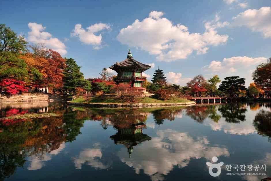 65세이상무료입장&amp;#44; 경로우대무료&amp;#44; 가을여행지추천&amp;#44; 어르신무료명소&amp;#44; 창덕궁후원&amp;#44; 서울대공원무료&amp;#44; 국립수목원무료&amp;#44; 국립세종수목원&amp;#44; 순천만국가정원무료&amp;#44; 남이섬경로우대&amp;#44; 조선왕릉무료&amp;#44; 노인무료입장&amp;#44; 신분증무료입장&amp;#44; 경로우대할인&amp;#44; 창덕궁후원예약&amp;#44; 국립수목원예약&amp;#44; 국립수목원차량예약&amp;#44; 순천만갈대&amp;#44; 순천만국가정원휴무&amp;#44; 서울대공원경로&amp;#44; 코끼리열차실버요금&amp;#44; 동구릉&amp;#44; 선정릉&amp;#44; 서오릉&amp;#44; 가을고궁산책&amp;#44; 부모님가을여행&amp;#44; 어르신가을나들이&amp;#44; 65세혜택&amp;#44; 시니어여행&amp;#44; 황금길가이드