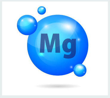 마그네슘이 풍부한 음식