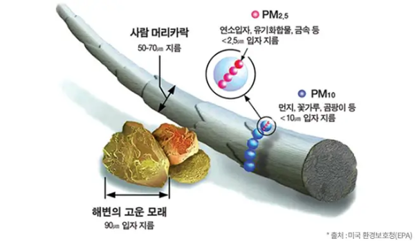 미세먼지의 크기를 나타내는 그림