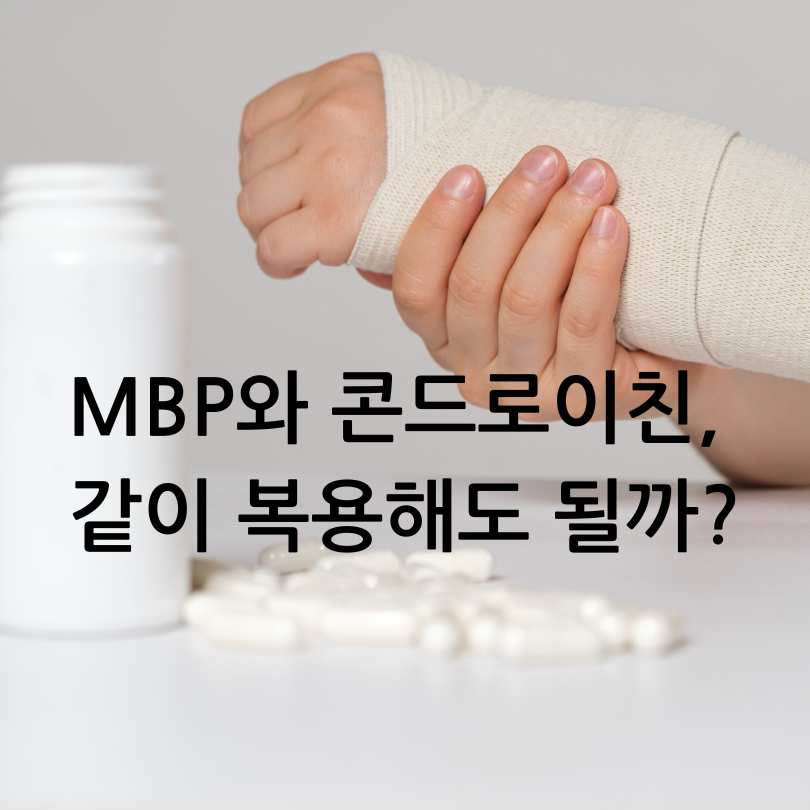 MBP과 콘드로이친 차이점
