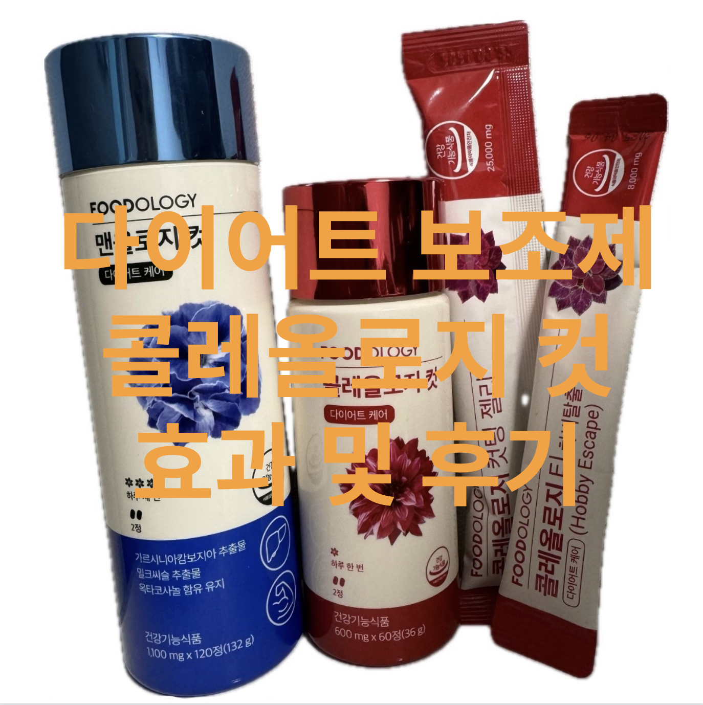 다이어트 보조제 콜레올로지 컷 효과 및 후기