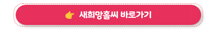 기대출 과다자 추가대출 새희망홀씨