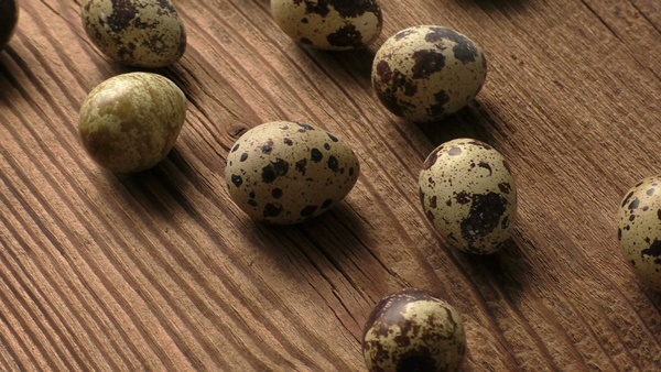 콜레스테롤 정상수치