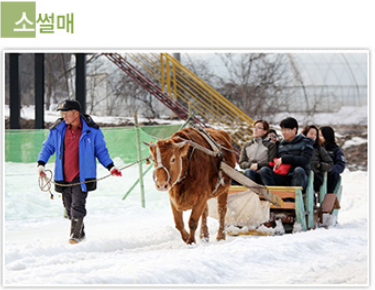 얼음분수축제 즐길거리