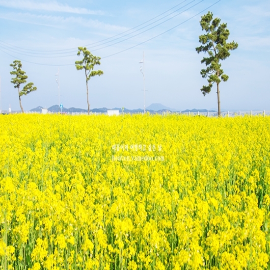 봄에 가볼만한곳 베스트10