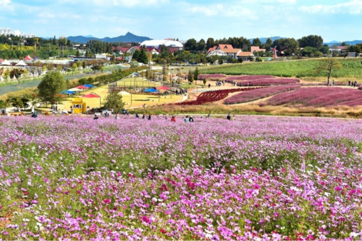 안성팜랜드-전경