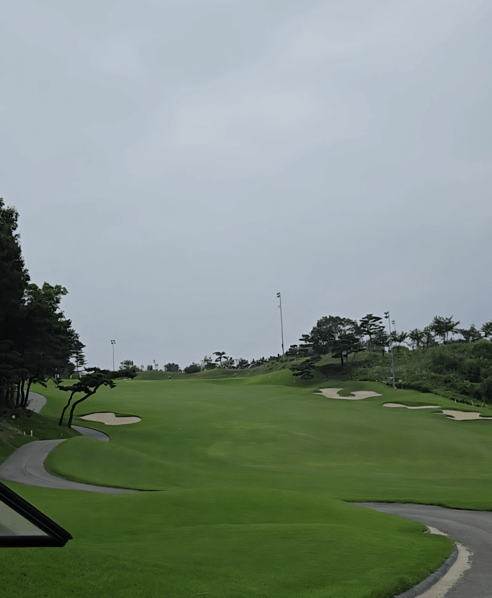 YJC골프클럽 ACE코스 벙커 페어웨이 전경