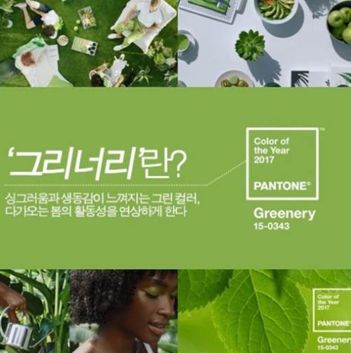 그리너리색상