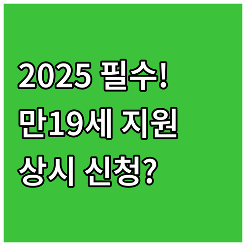 2025 문화예술패스 19세 청년 지..