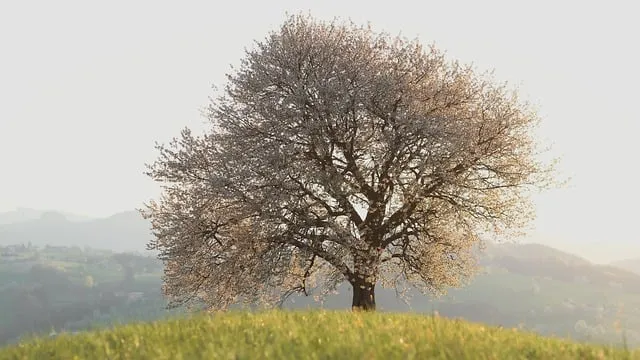 인기 자격증
