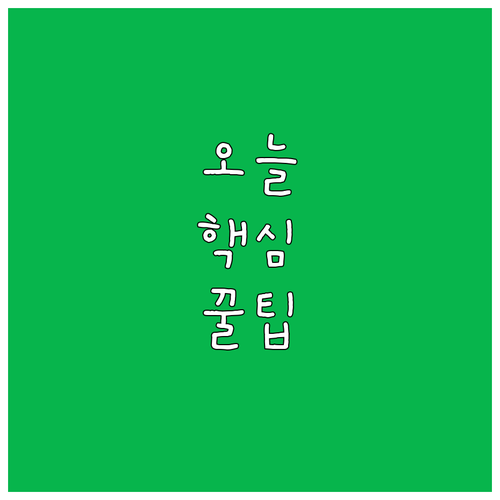 2025 부산 사상구 노인 건강보험료..