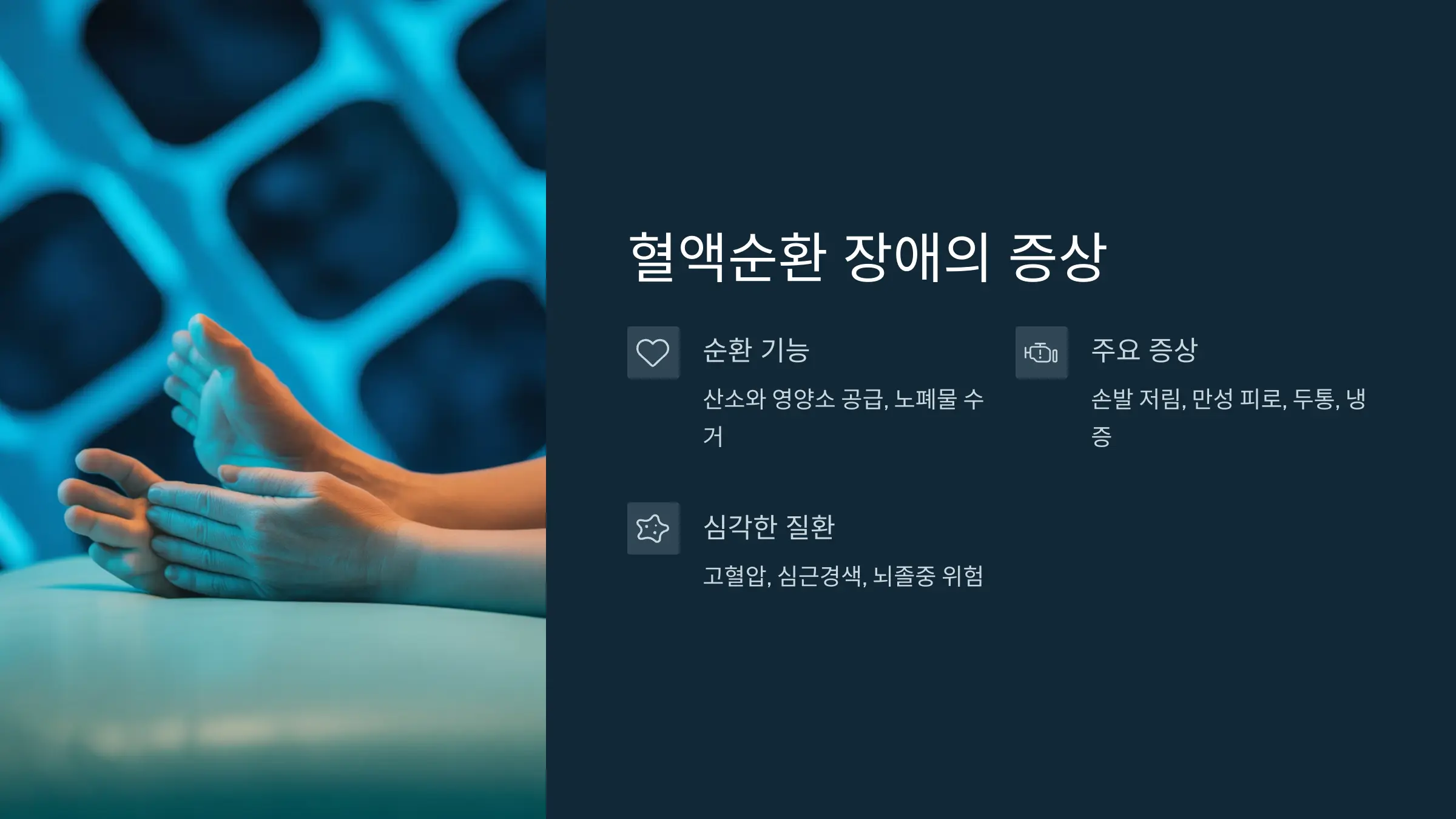혈액순환의 중요성과 문제 발생 시 나타나는 증상