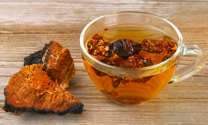 차가버섯 끓이는 과정