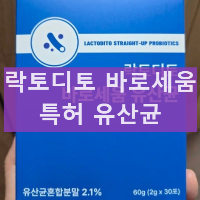 락토디토 바로세움 유산균 남성 활력 유산균 내돈내산 후기 효과글로 이동