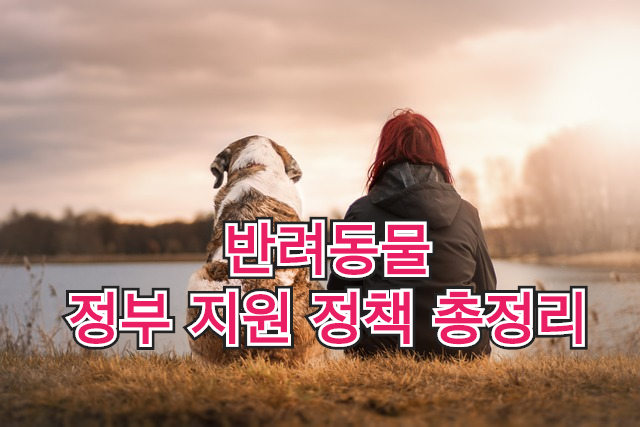 반려동물 사진