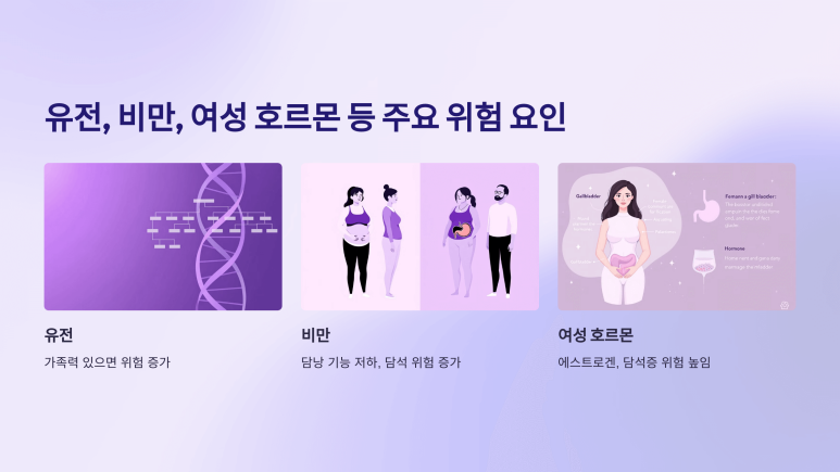 생활 습관 이외의 담석증의 주요 위험 요인