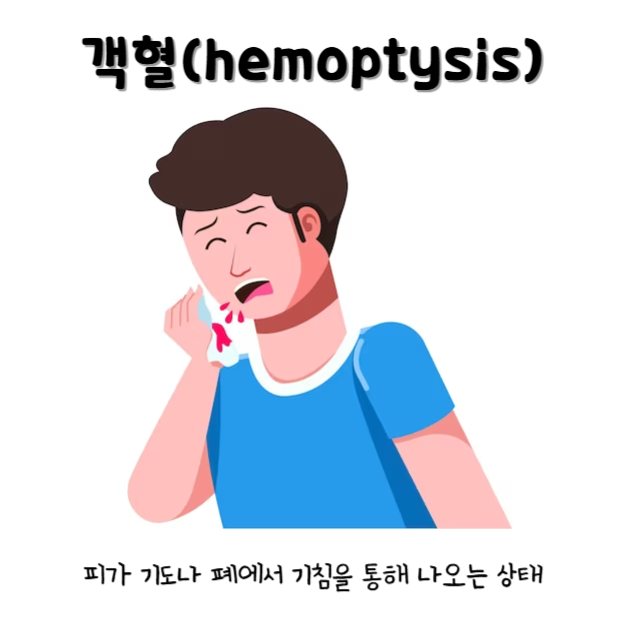 객혈(hemoptysis)
객혈이란 피가 기도나 폐에서 기침을 통해 나오는 상태