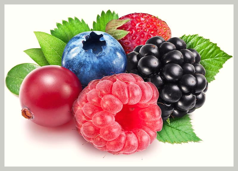 신장에_좋은_음식