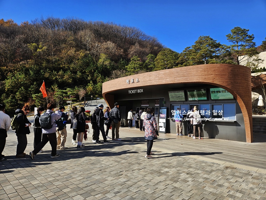 2025 화담숲 마지막 가을 단풍 화담채 분재 즐기기