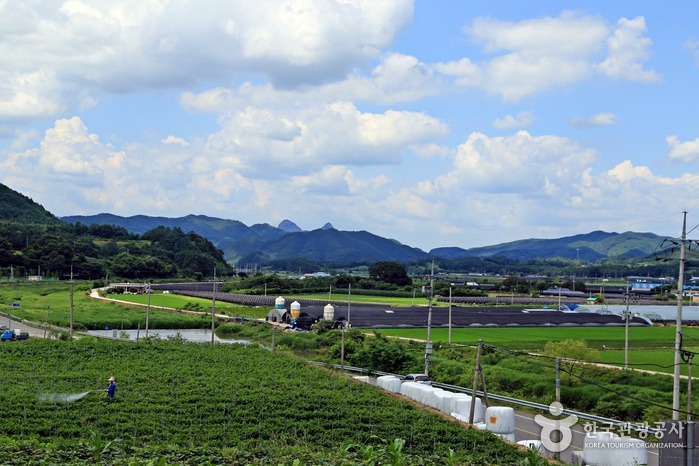 국립 운장산자연휴양림 예약