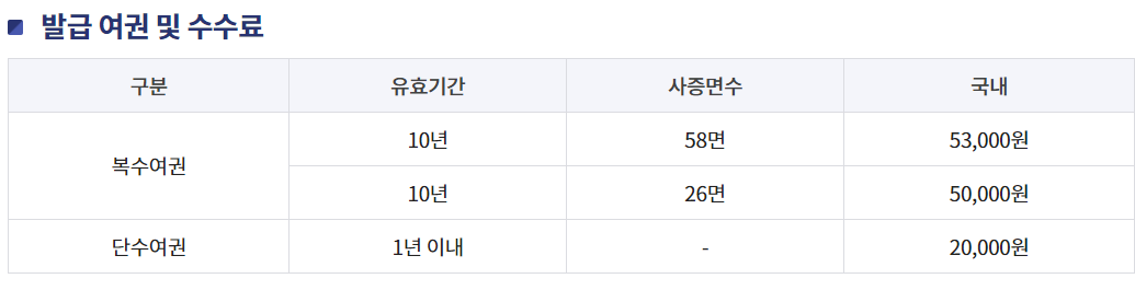 온라인 여권 재발급