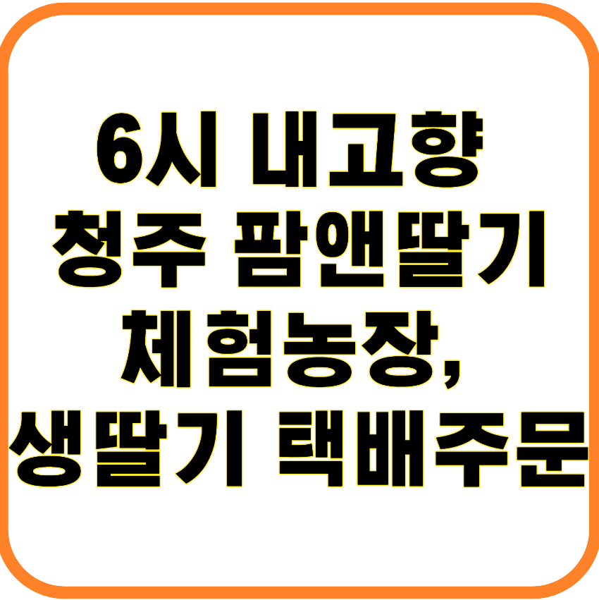 6시 내고향 청주 팜앤딸기 체험농장 예약, 생딸기 구매부터 택배주문