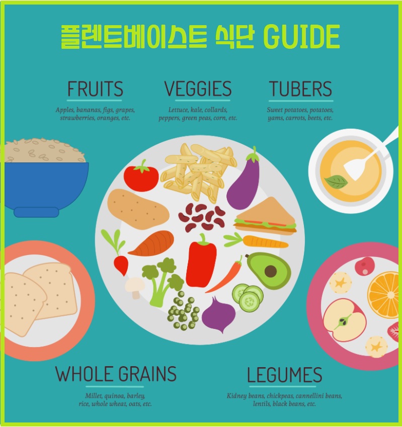 플랜트베이스드 다이어트 식단 가이드