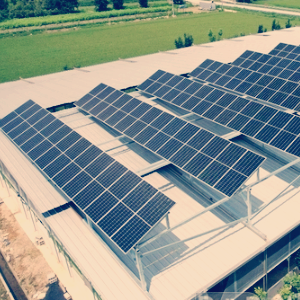 태양광 관련주 대장주 테마주 수혜주 TOP5