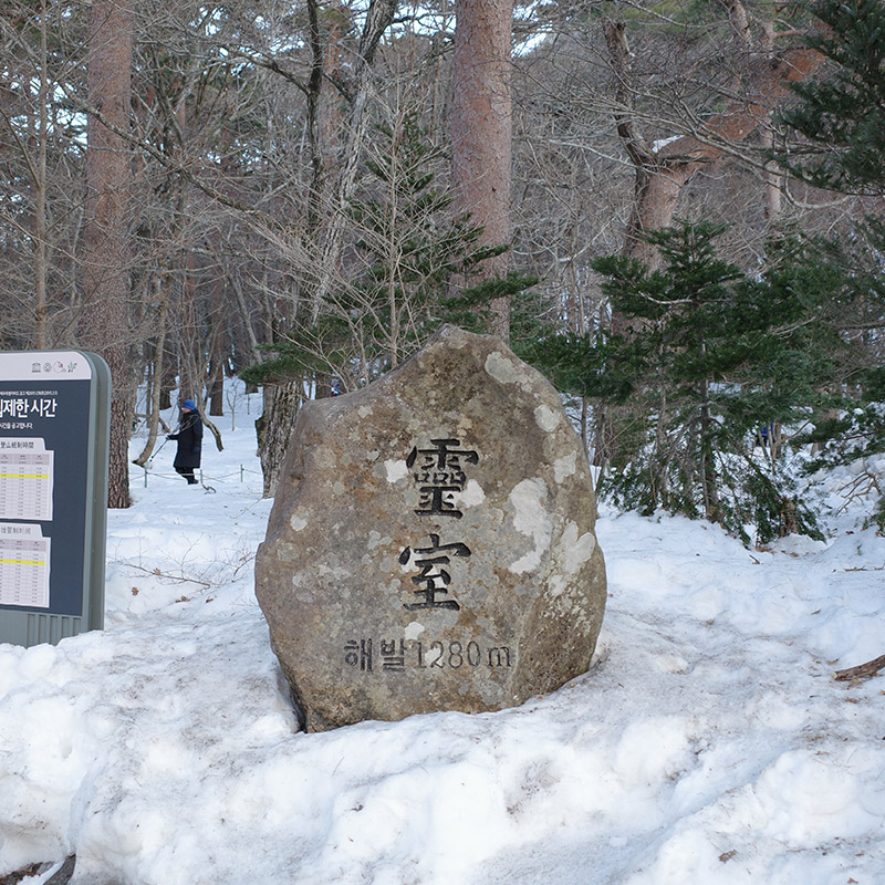 제주도 한라산 영실코스
