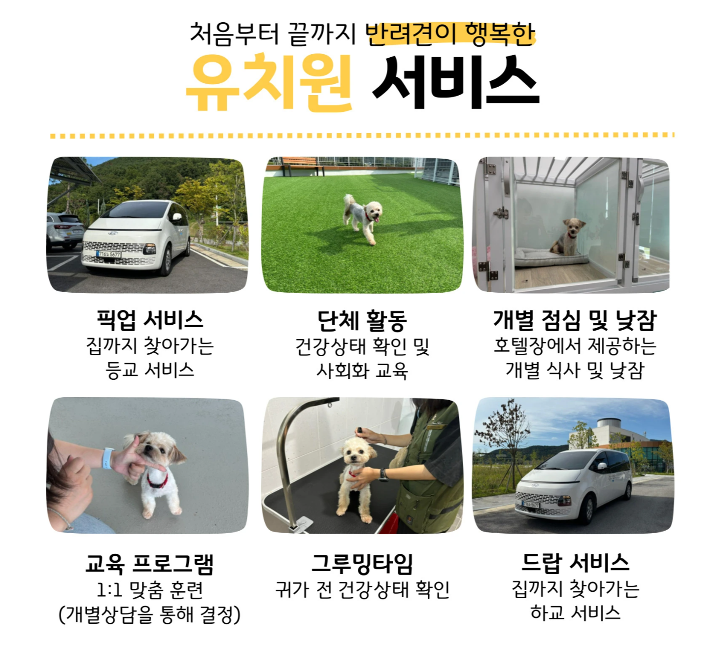 밀양 반려동물지원센터 선샤인 반려견 유치원 소개 픽업 서비스 운영 방법 시간 요일 요금제 이용 가격