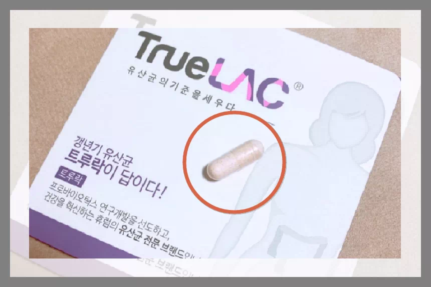 와이티원 유산균