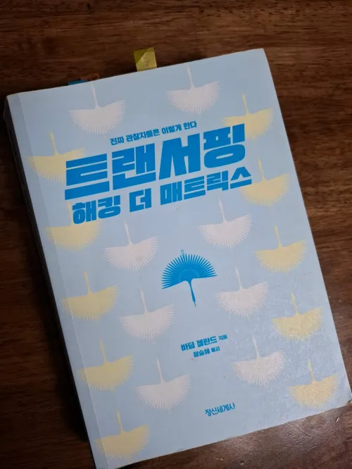 바딤 젤란트의 리얼리티 트랜서핑 책 표지 및 현실 설계 전략 (Reality Transurfing by Vadim Zeland)