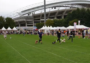 와스타디움 2024 안산 펫 페스티벌 일정 반려동물 문화 축제 프로그램 사전 신청 방법