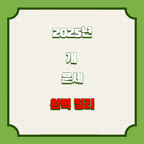 2025년 개띠 운세 (을사년) 완벽정리