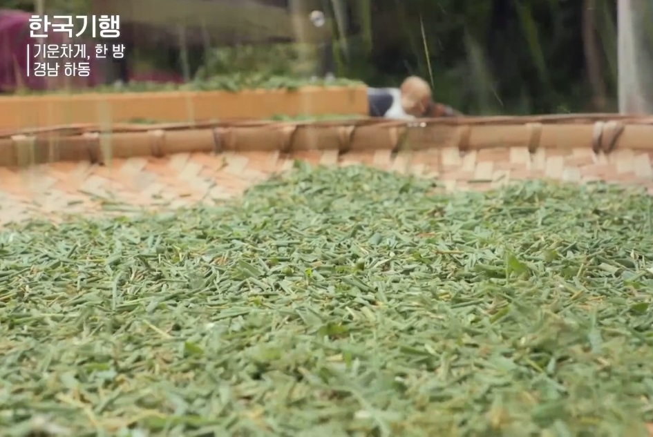 동네한바퀴-하동-오죽차-주해수-택배-주문