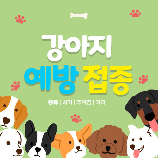 강아지_예방접종