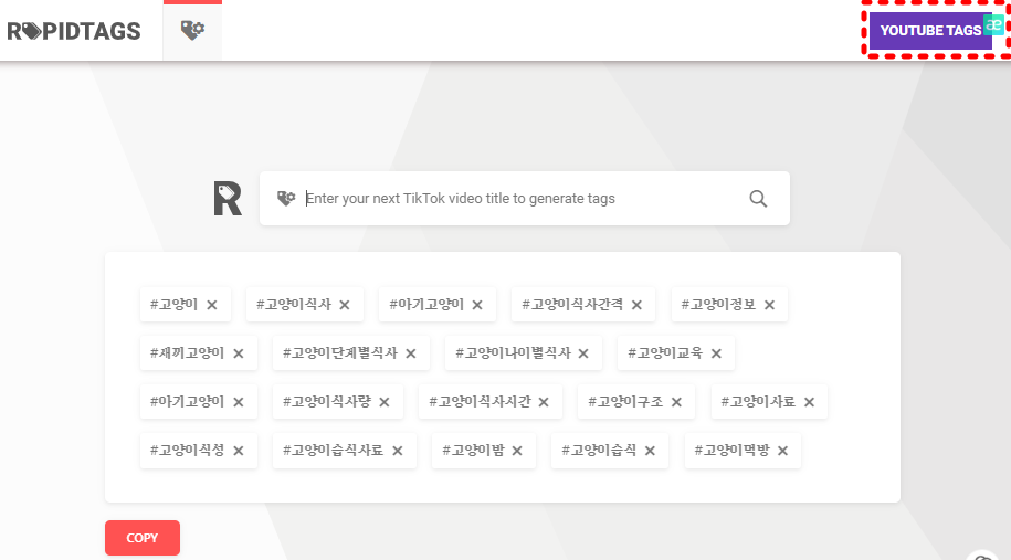 유튜브_틱톡_태그