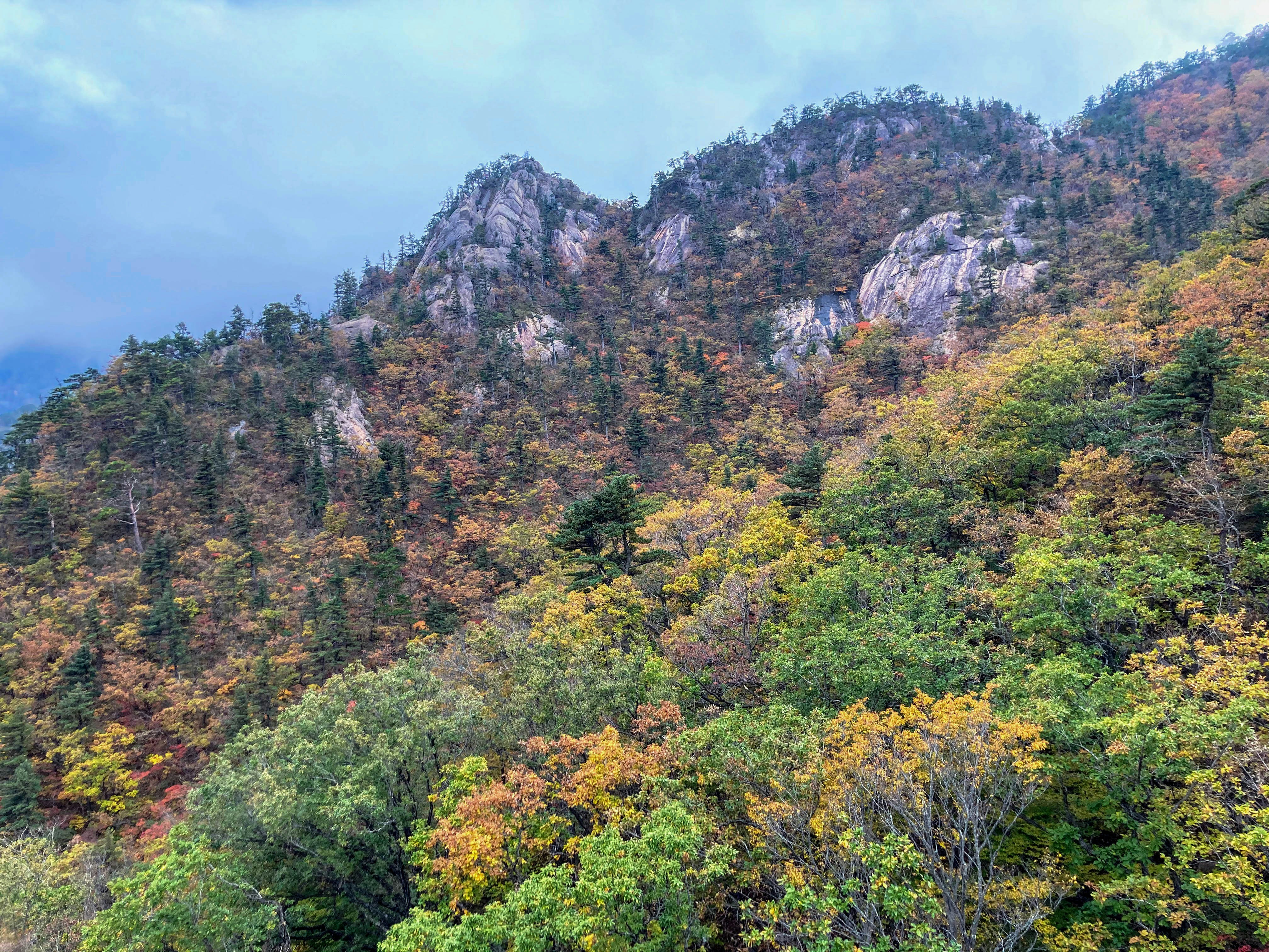 강원도 고성 가볼만한곳