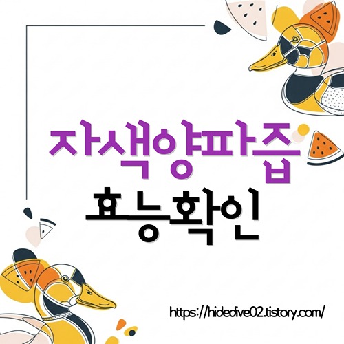 자색양파즙 효능확인에 대하여 알아보는 황금오리