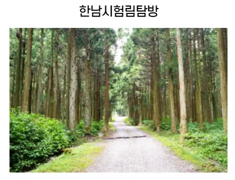 숲길체험-탐방로