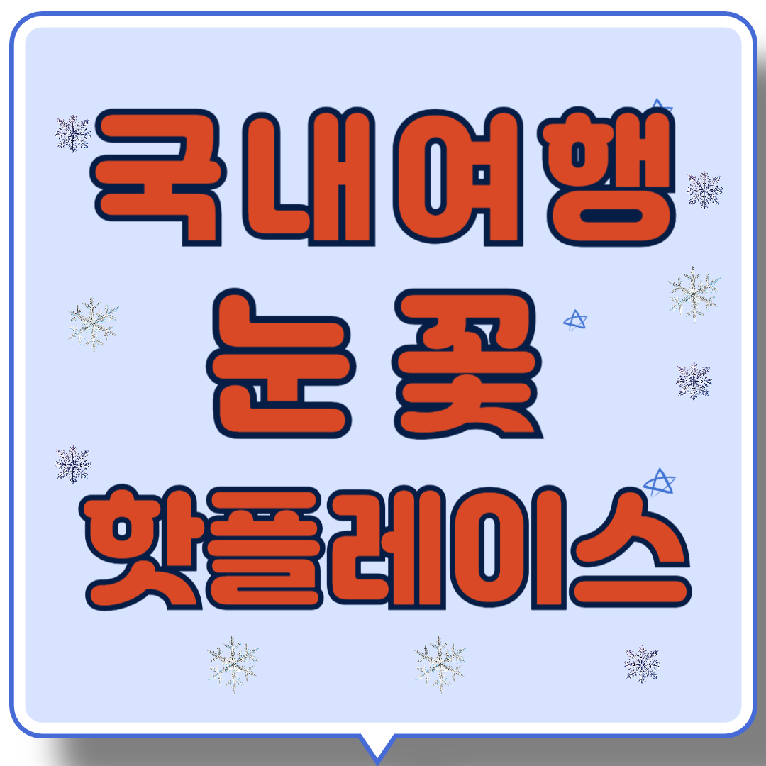 국내여행 눈꽃 핫플레이스