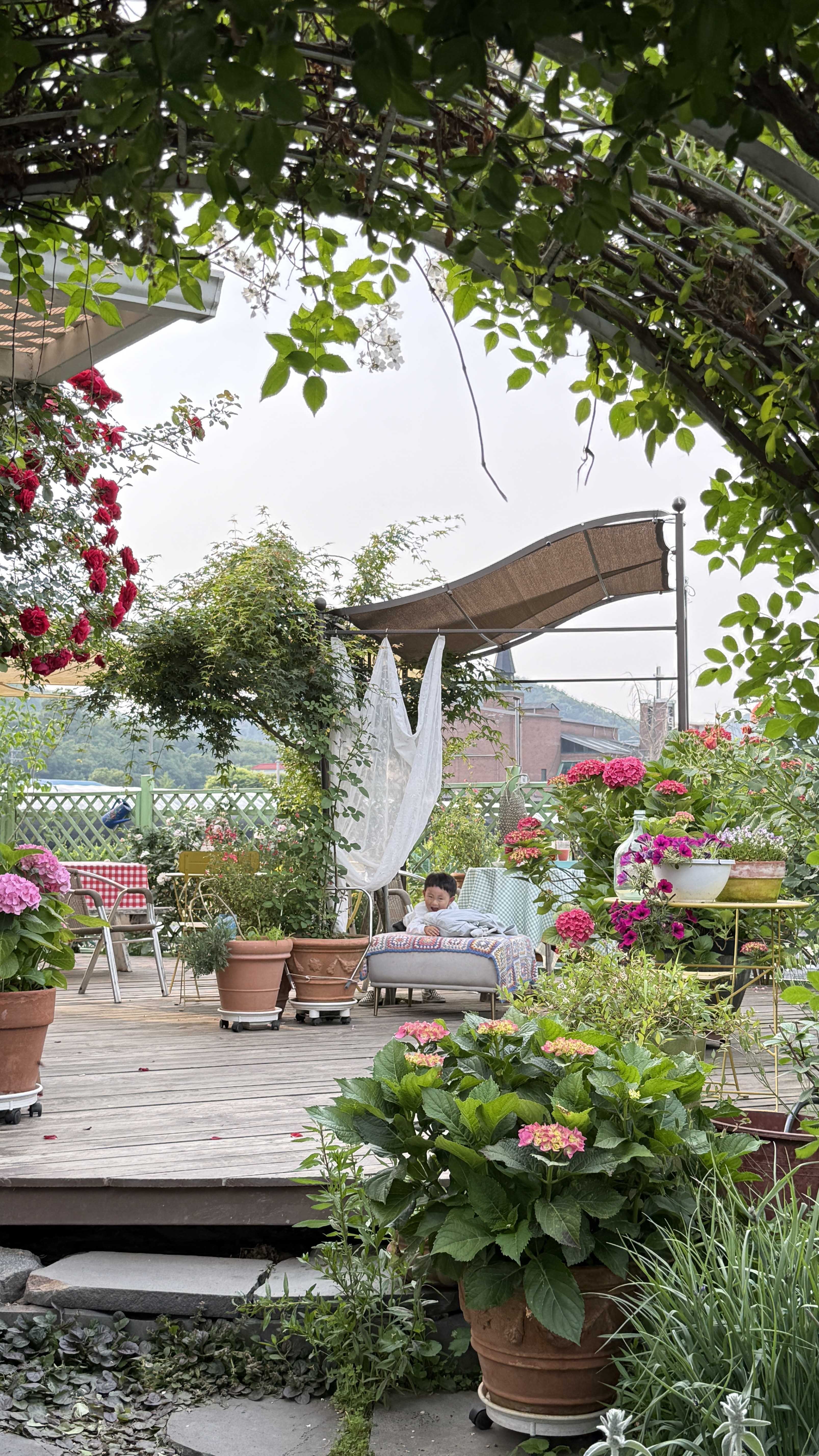 용인예쁜카페-채라네정원