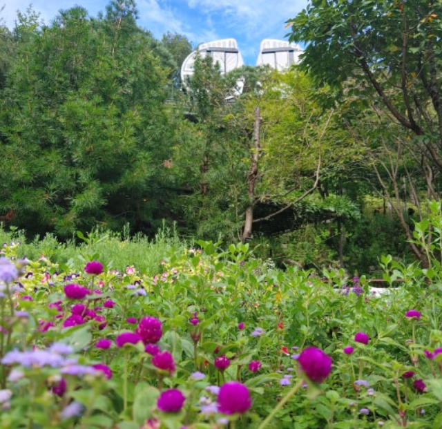 화담숲 모노레일 시간 간격 & 예약 꿀팁 총정리(+2025)