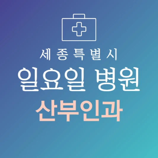 세종시-일요일-산부인과-문여는곳-주말에-진료하는-세종시-24시간-산부인과-병원
