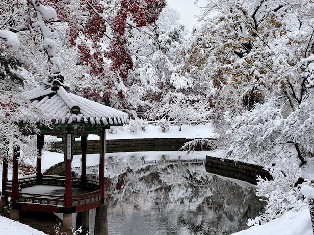 겨울에도아름다운창덕궁후원