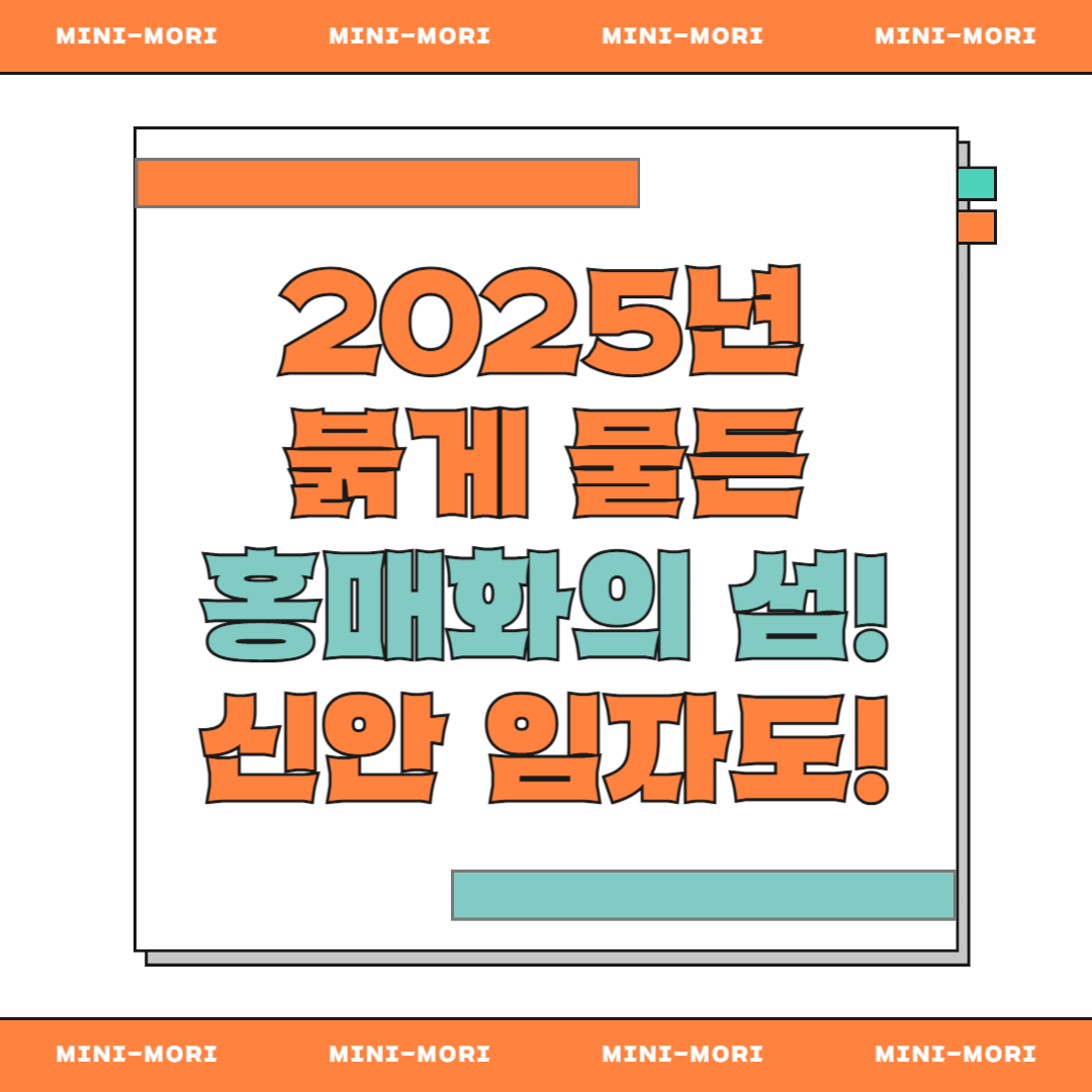  신안 임자도 